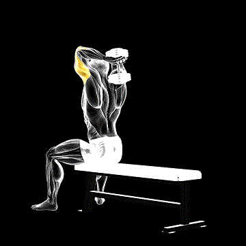Dumbbell Seated Bench Extension demonstration