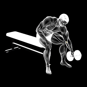 Dumbbell Seated One-Arm Rotate demonstration