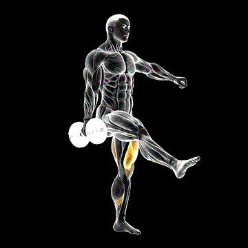 Dumbbell One-Leg Squat demonstration