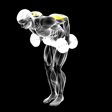 Dumbbell Standing Kickback demonstration