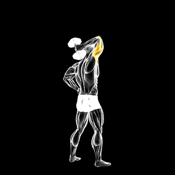 Dumbbell Standing One-Arm Extension demonstration