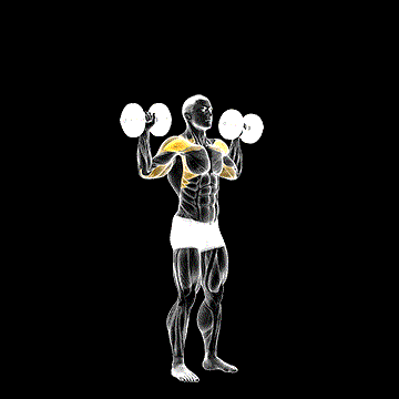 Dumbbell Standing Overhead Press demonstration