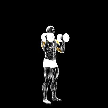 Dumbbell Standing Palms-In Press demonstration