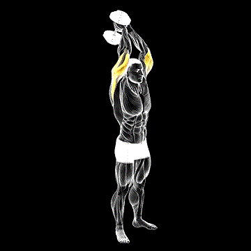 Dumbbell Standing Triceps Extension demonstration