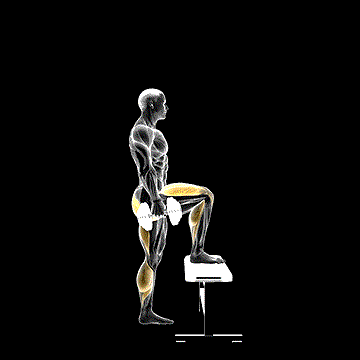 Dumbbell Step-up demonstration