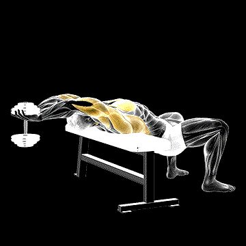 Dumbbell Straight Arm Pullover demonstration
