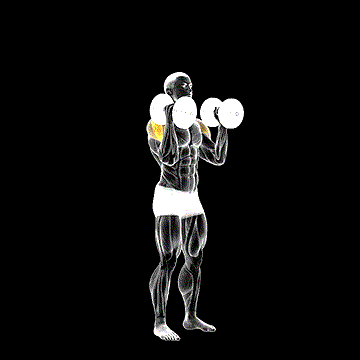 Dumbbell W Press demonstration