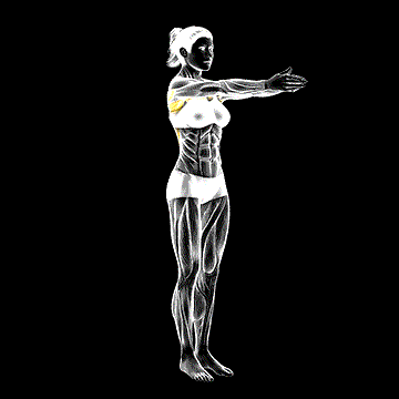 Dynamic Chest Stretch demonstration