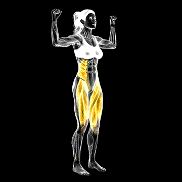 Elbow-to-Knee Twist demonstration
