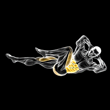 Elbow To Knee demonstration