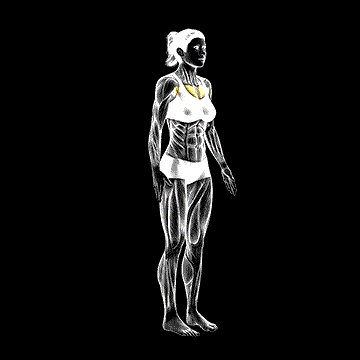 Elbows-Back Stretch demonstration