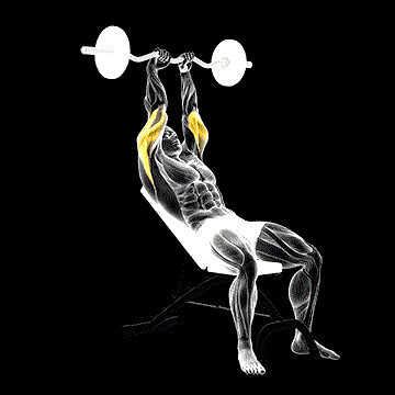 EZ Barbell Incline Triceps Extension demonstration