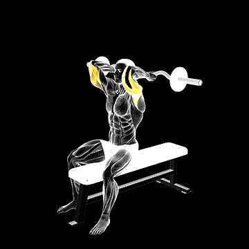 EZ Barbell Seated Triceps Extension demonstration