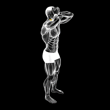 Front And Back Neck Stretch demonstration