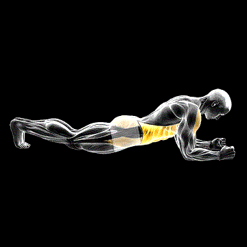 Front Plank demonstration