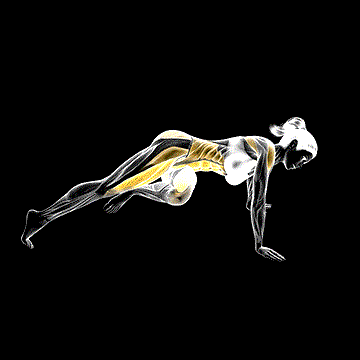 Grasshopper Push-up demonstration