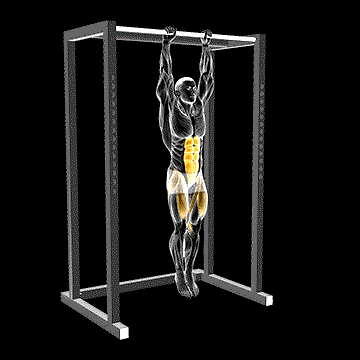 Hanging Straight Leg Raise demonstration
