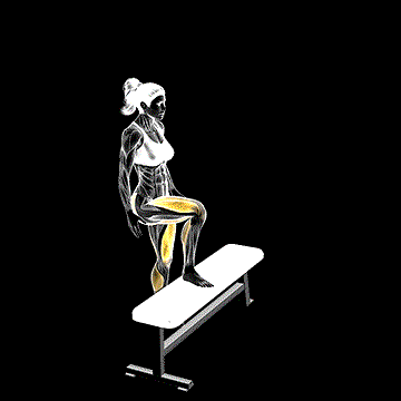 High Knee Step-up demonstration