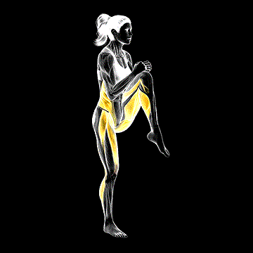 High Knee Twist demonstration