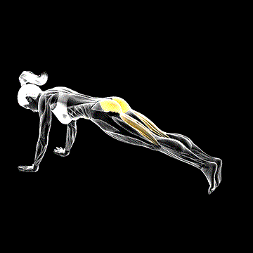 Hip Extension Stretch demonstration
