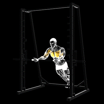 Incline Reverse-Grip Push-Up demonstration