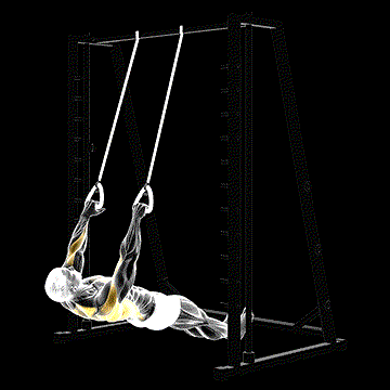 Inverted Row (w/ Straps) demonstration
