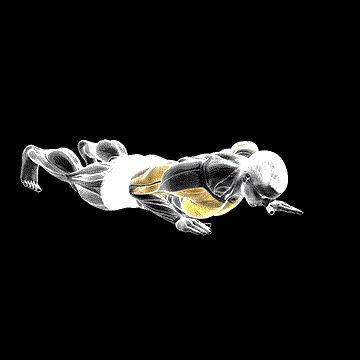 Isometric Wipers demonstration
