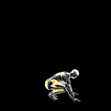 Jack Burpee demonstration