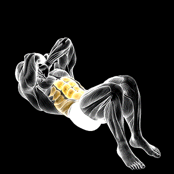 Janda Sit-up demonstration