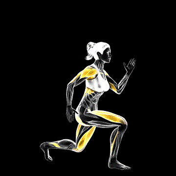 Jump Lunge To Feet Jack demonstration