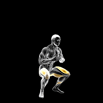 Jump Squat demonstration