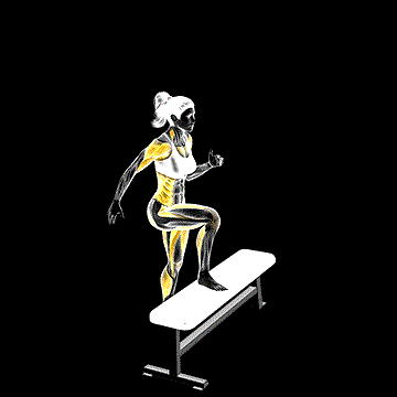 Jump Step-Up demonstration