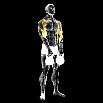 Kettlebell Alternating Hang Clean demonstration