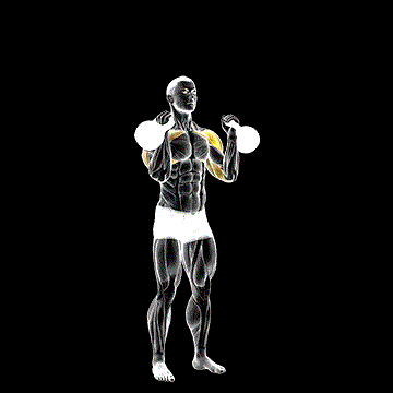 Kettlebell Alternating Press demonstration