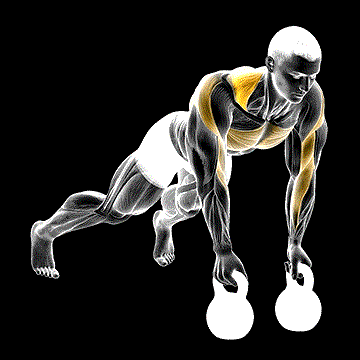 Kettlebell Alternating Renegade Row demonstration
