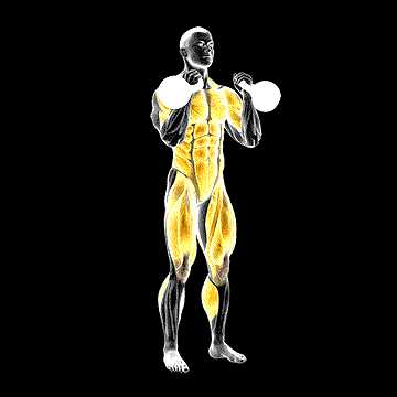 Kettlebell Double Jerk demonstration