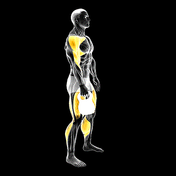 Kettlebell Hang Clean demonstration
