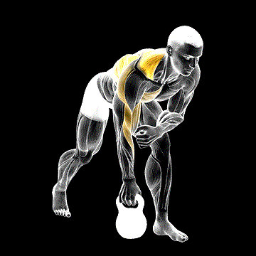 Kettlebell One-Arm Row demonstration