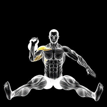Kettlebell Seated Press demonstration
