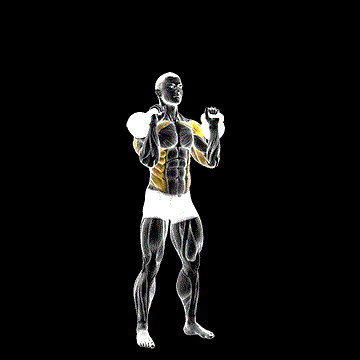 Kettlebell Seesaw Press demonstration