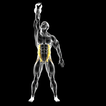 Kettlebell Windmill demonstration