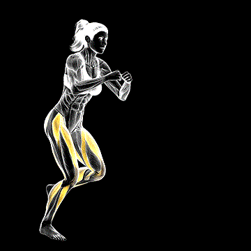 Lateral Speed Step demonstration