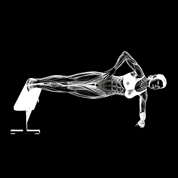 Leg Bench Side Bridge demonstration