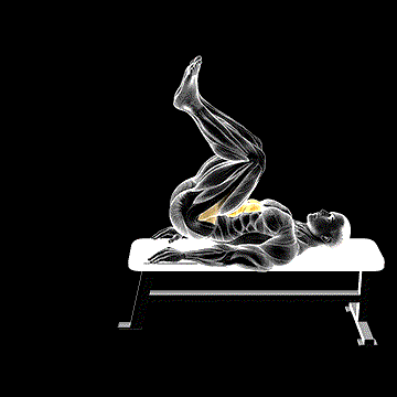 Leg Pull-In Flat Bench demonstration