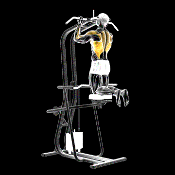 Lever-Assisted Chin-Up demonstration