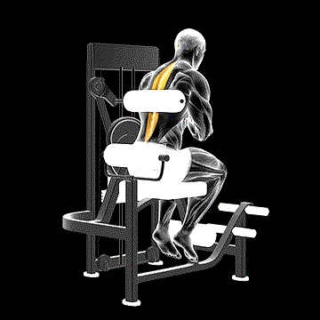 Lever Back Extension demonstration