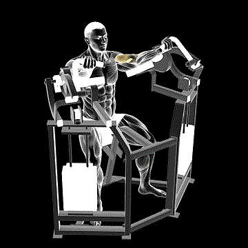 Lever Bicep Curl demonstration