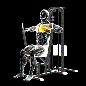 Lever Chest Press demonstration