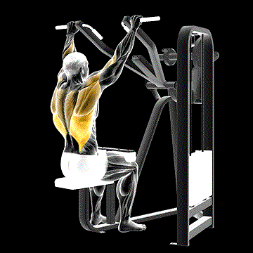 Lever Front Pulldown demonstration