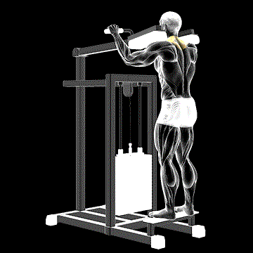 Lever Gripless Shrug demonstration